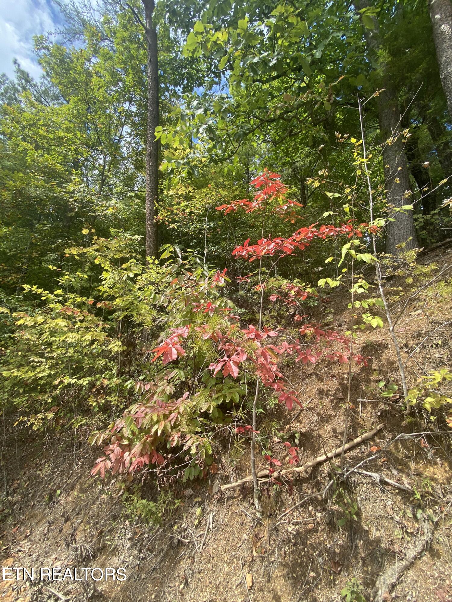 Lot 9 Sunset Rd Property Photo 17