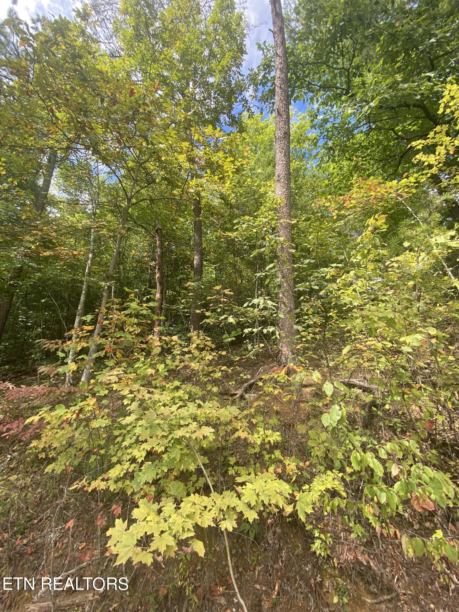 Lot 9 Sunset Rd Property Photo 18