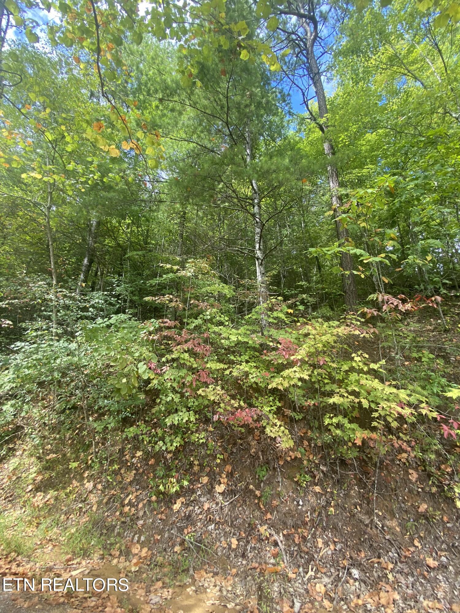 Lot 9 Sunset Rd Property Photo 20