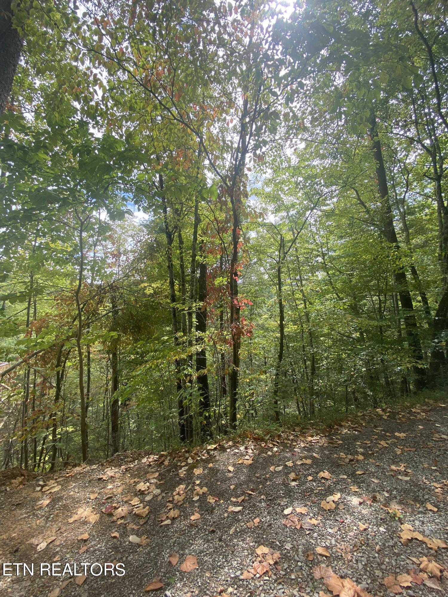 Lot 9 Sunset Rd Property Photo 22