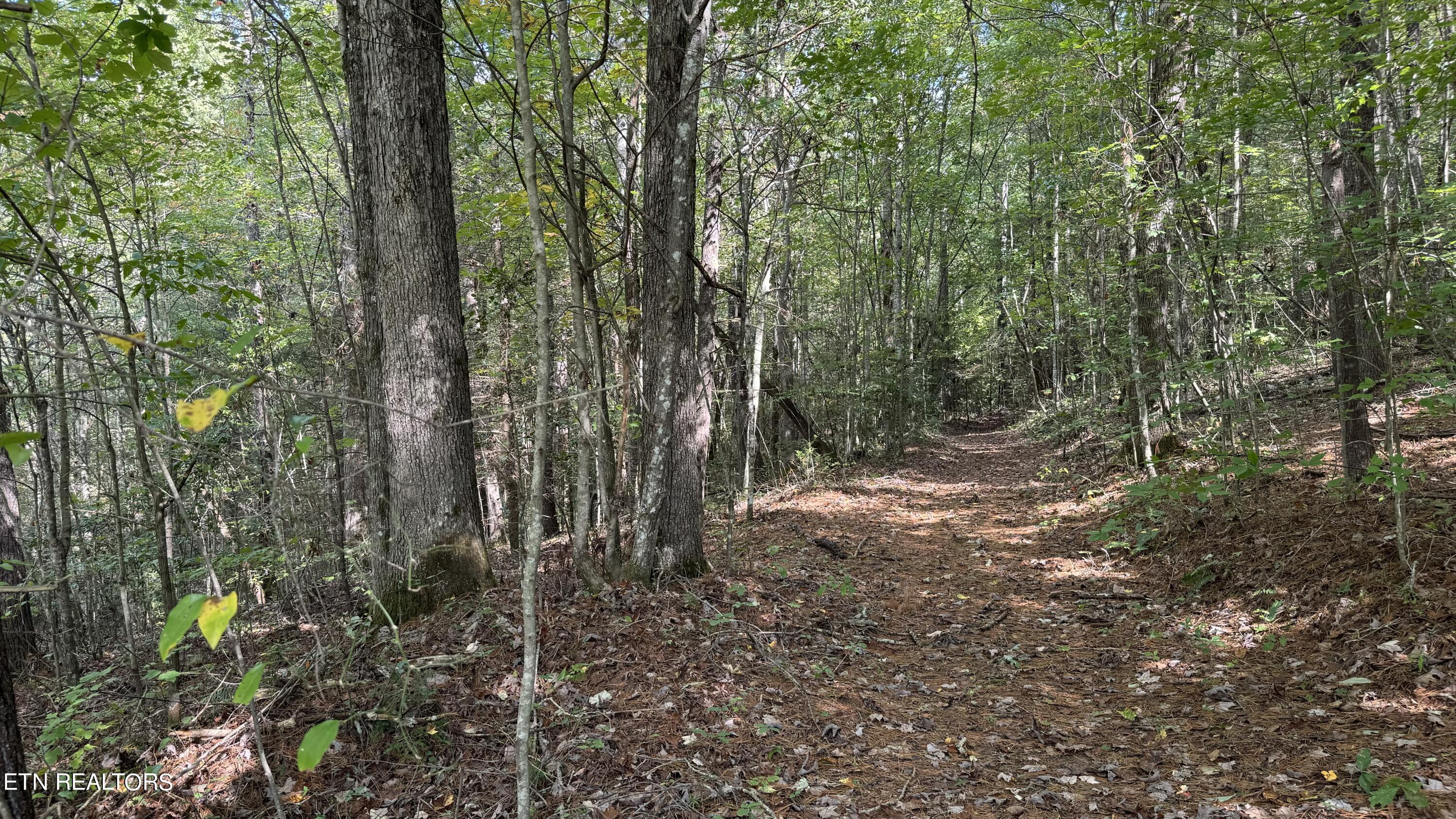 Bear Hollow Rd Property Photo 4