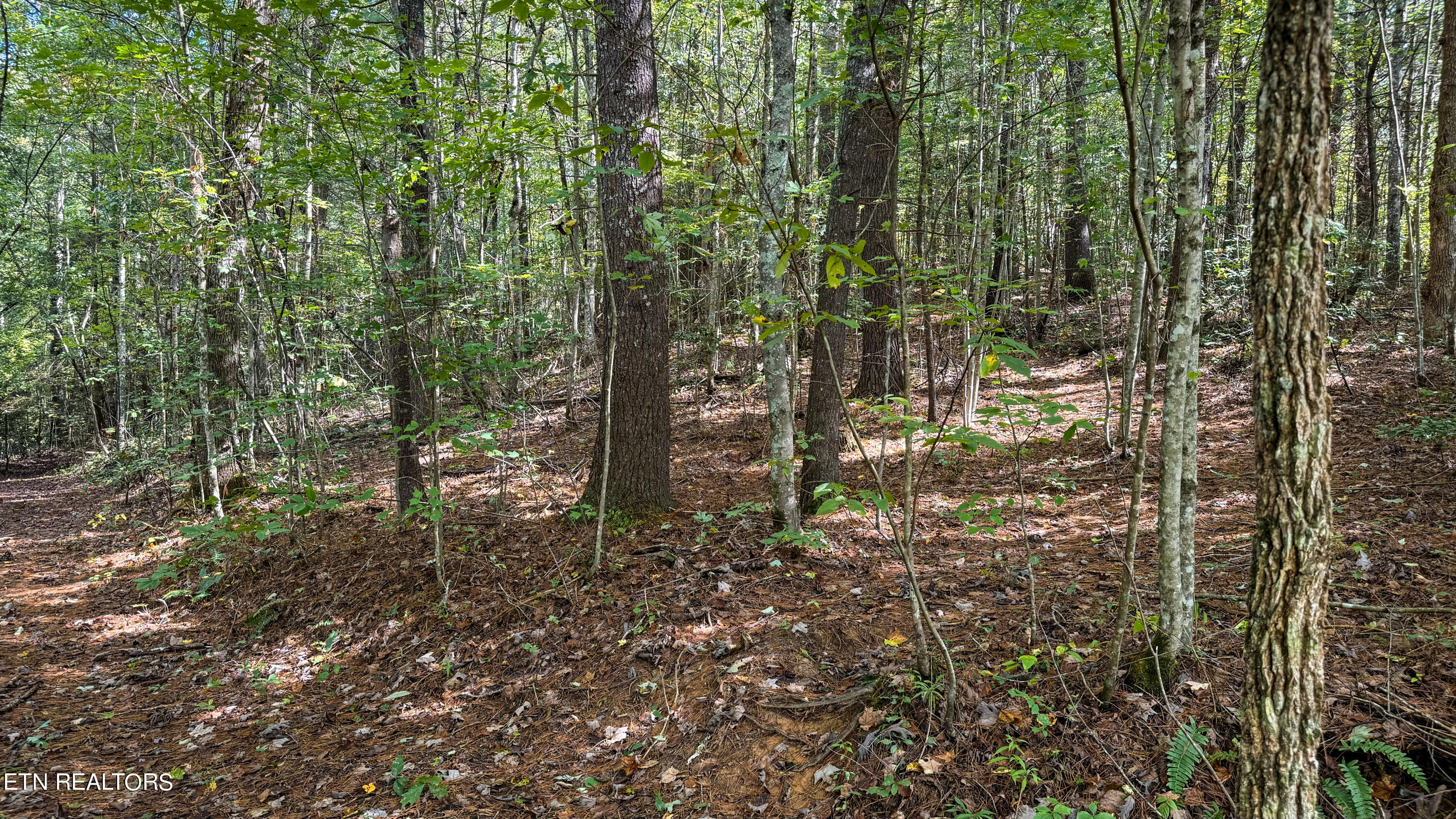Bear Hollow Rd Property Photo 5