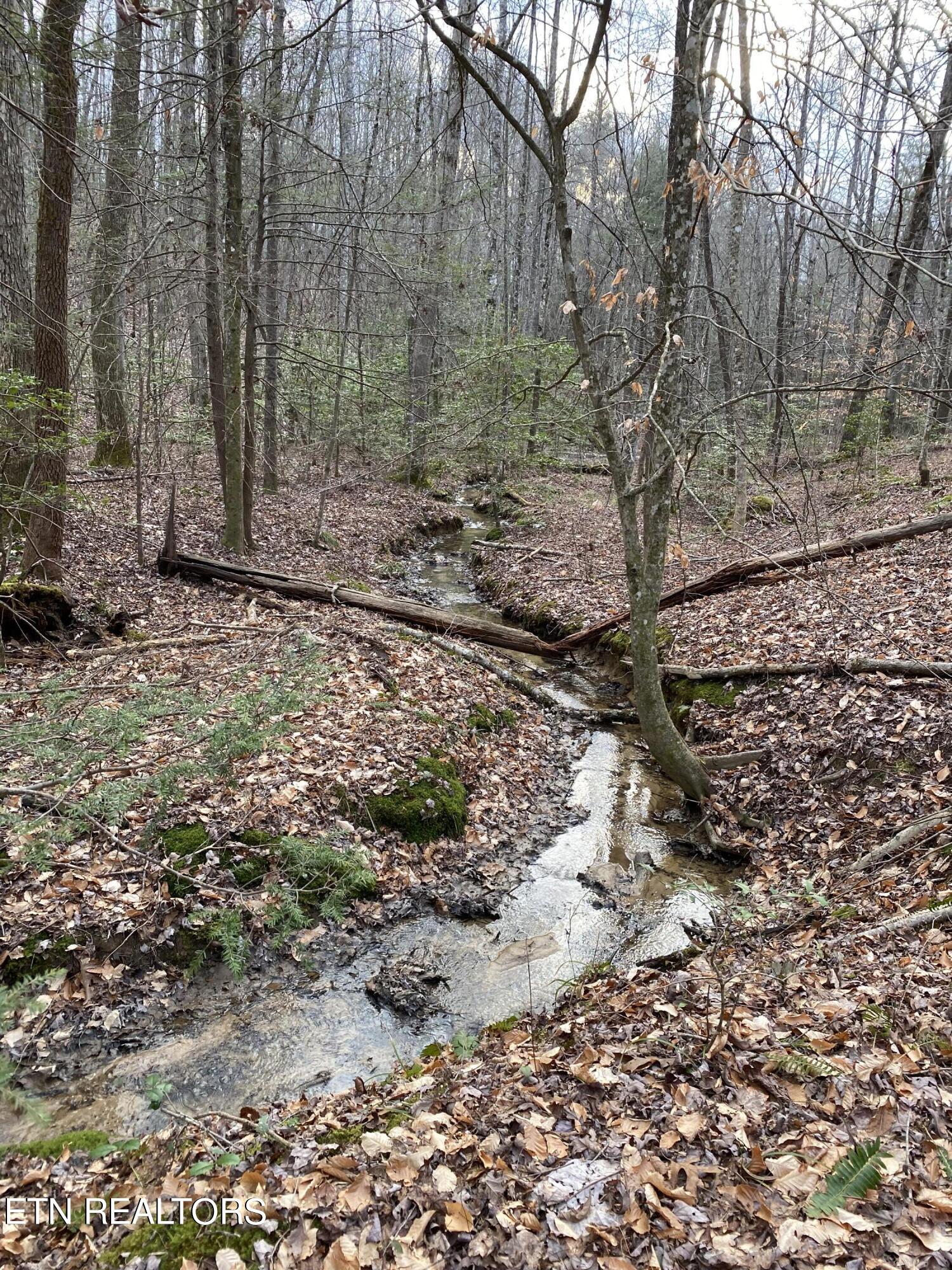 Bear Hollow Rd Property Photo 6
