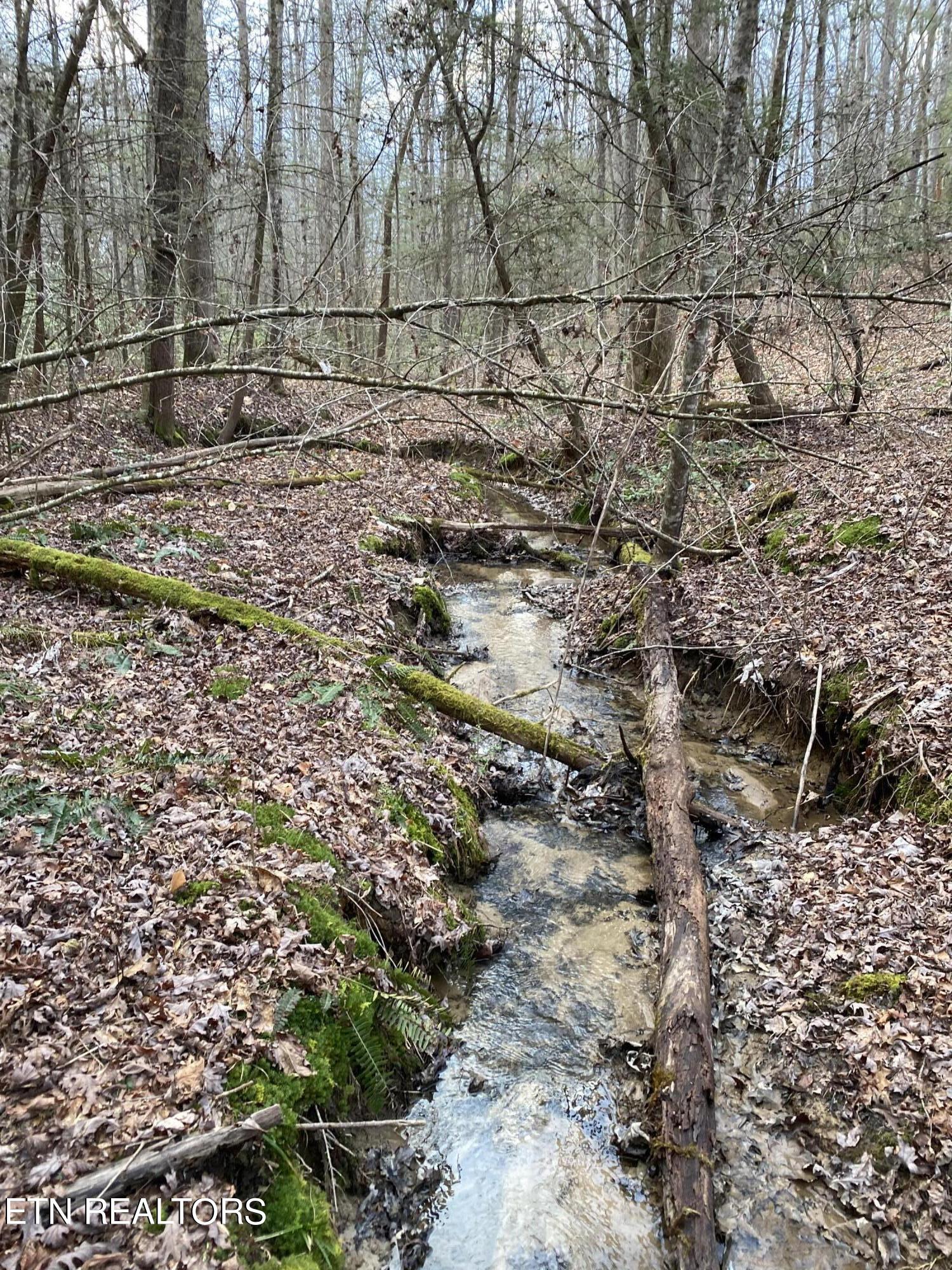 Bear Hollow Rd Property Photo 7