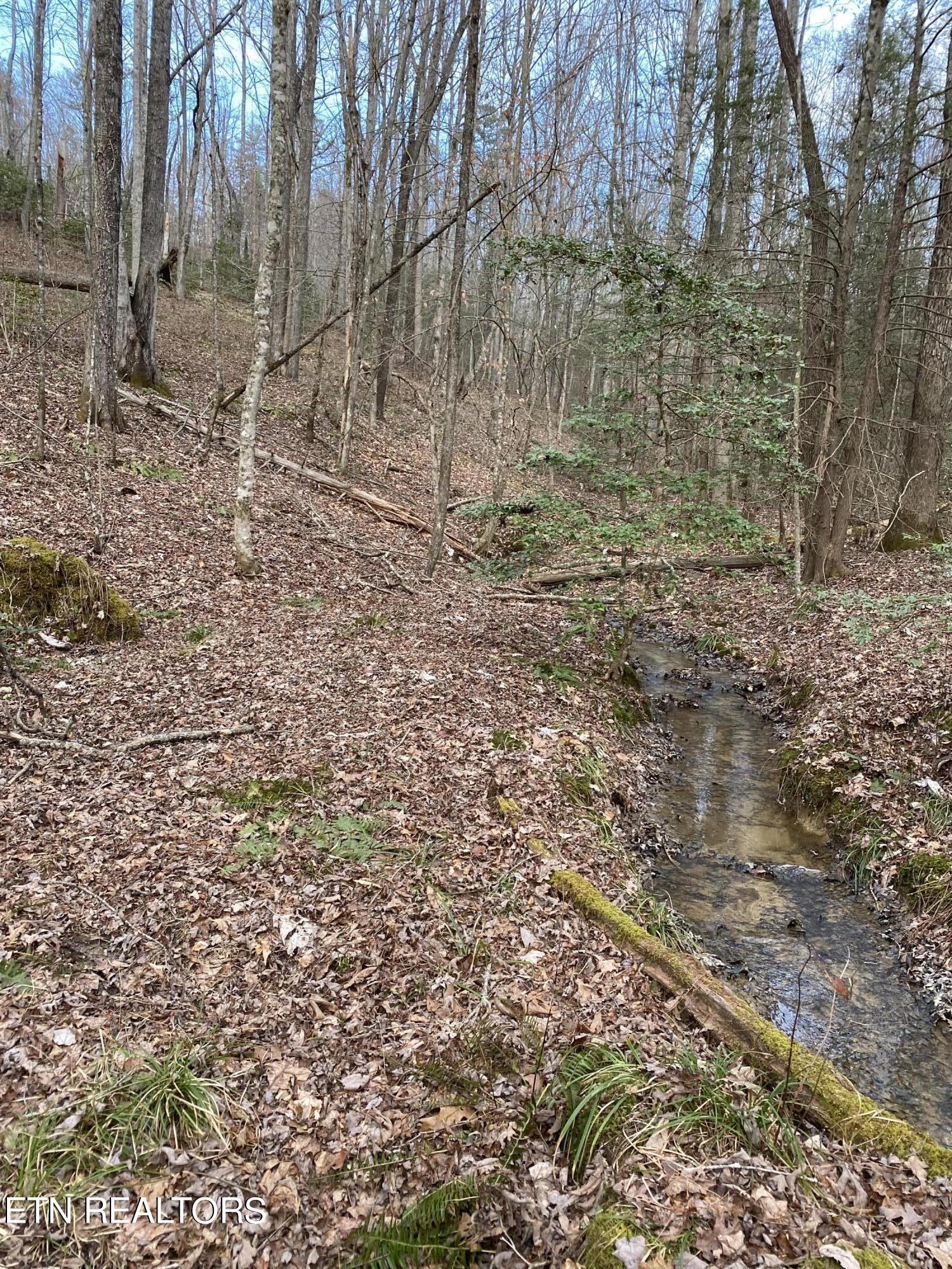 Bear Hollow Rd Property Photo 8