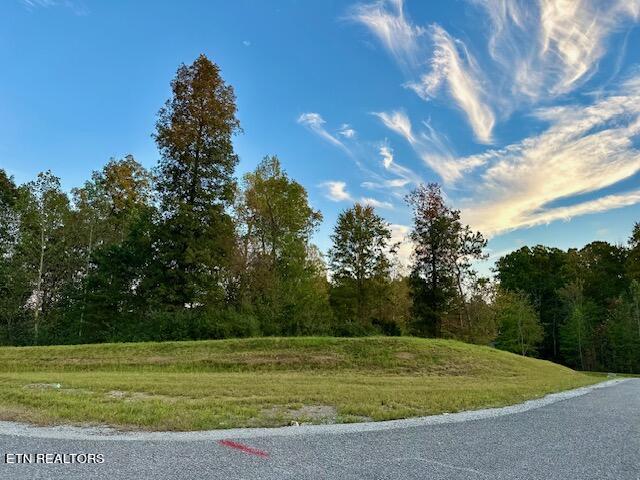 49 E Poplar Lane Property Photo 1