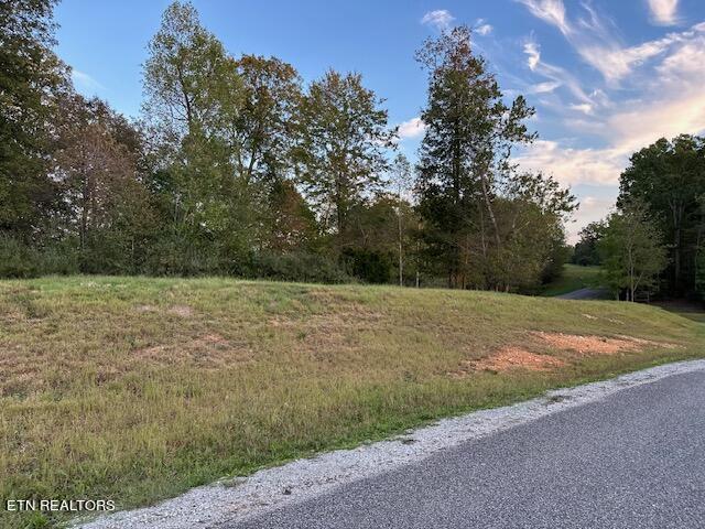 49 E Poplar Lane Property Photo 2