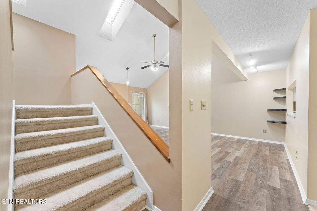 203 Chota View Circle Property Photo 17