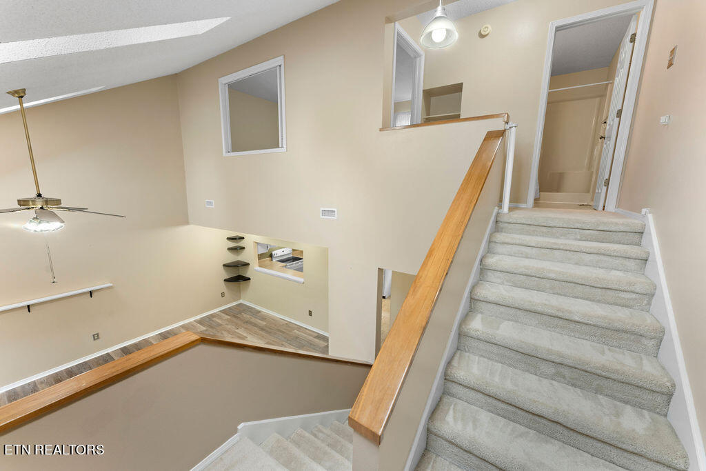 203 Chota View Circle Property Photo 18