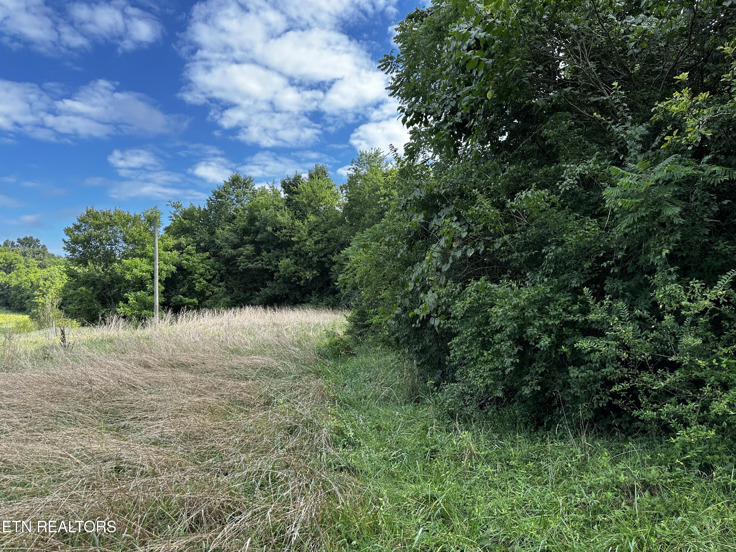 7555 Maynardville Pike Property Photo 8