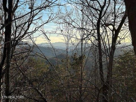 Lot 63 Twin City Way Property Photo 2
