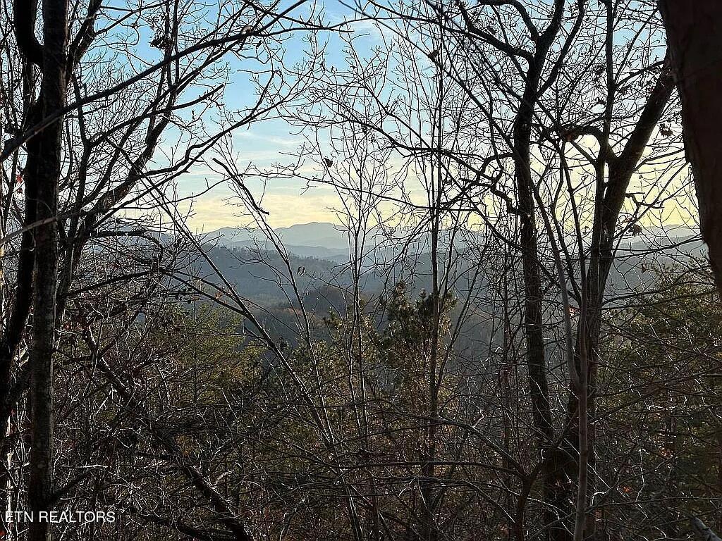 Lot 63 Twin City Way Property Photo 3