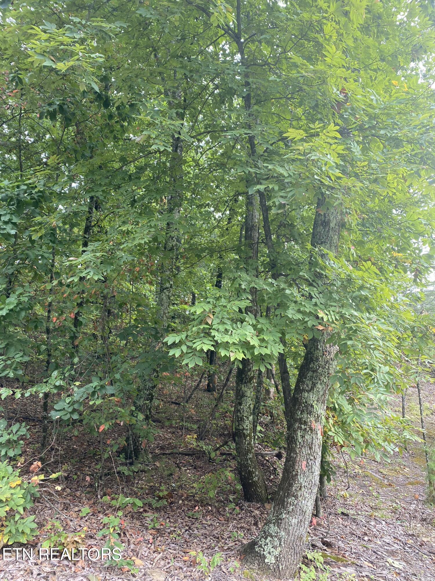 Lot 63 Twin City Way Property Photo 4