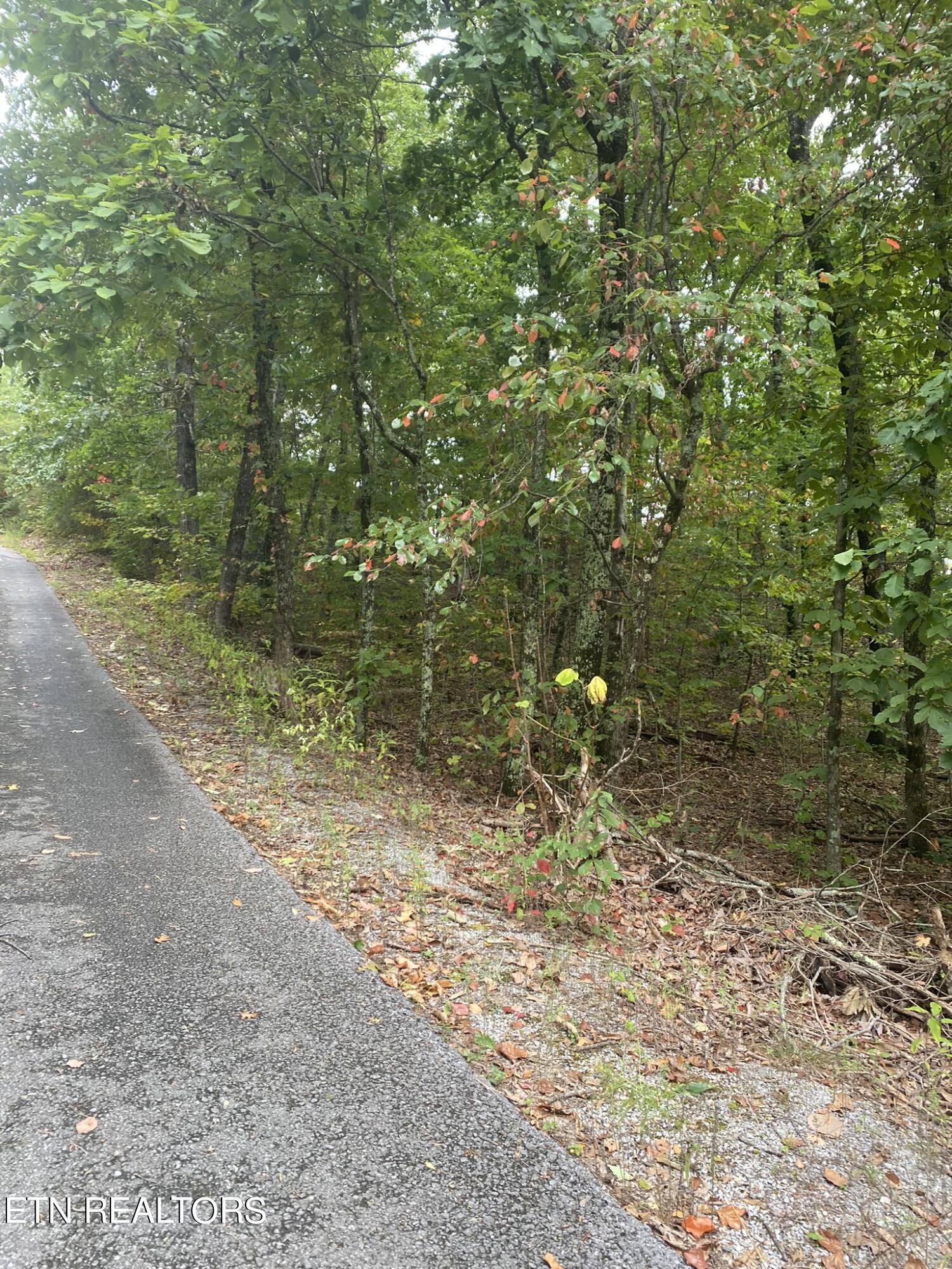 Lot 63 Twin City Way Property Photo 5