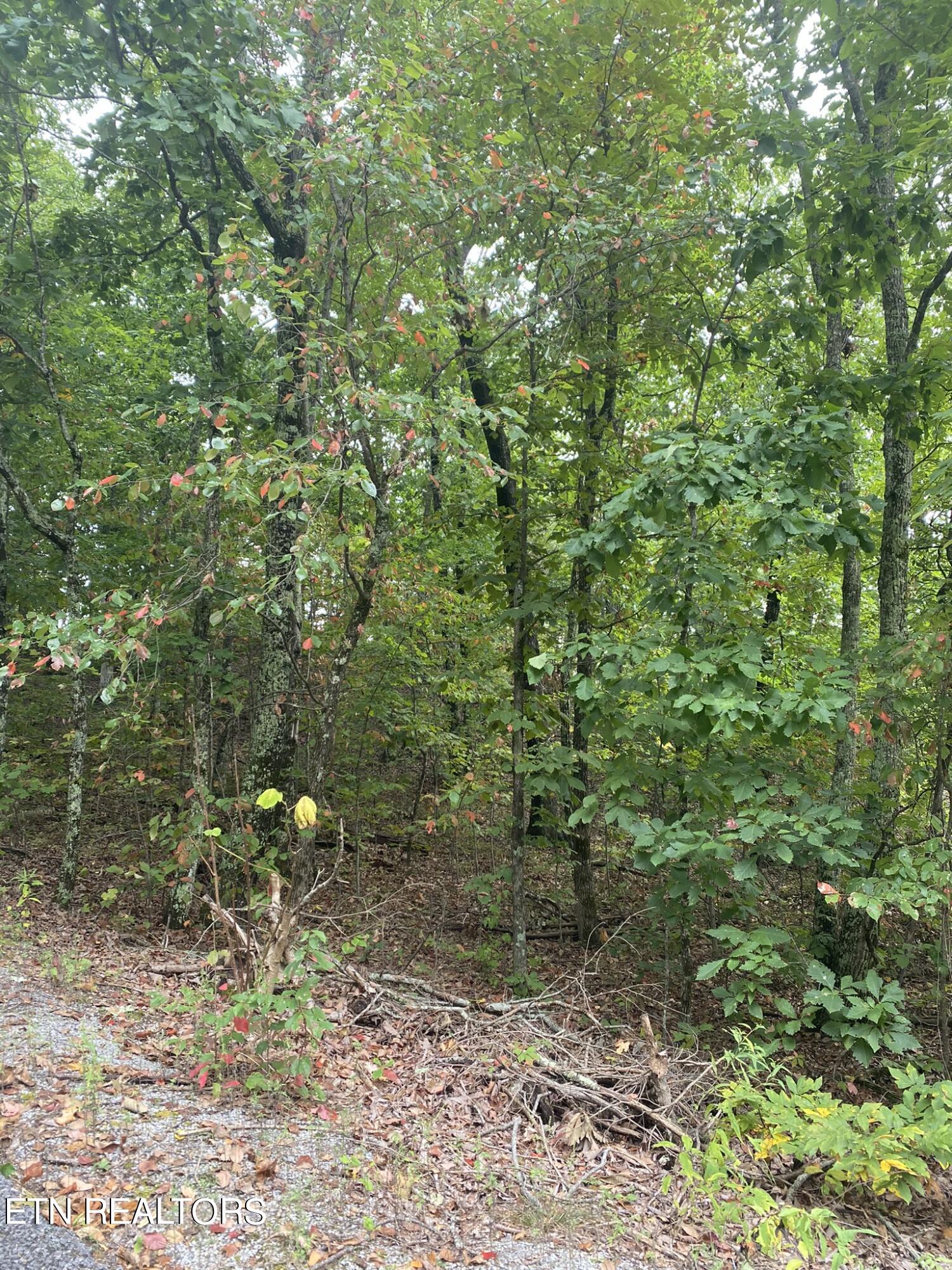 Lot 63 Twin City Way Property Photo 6