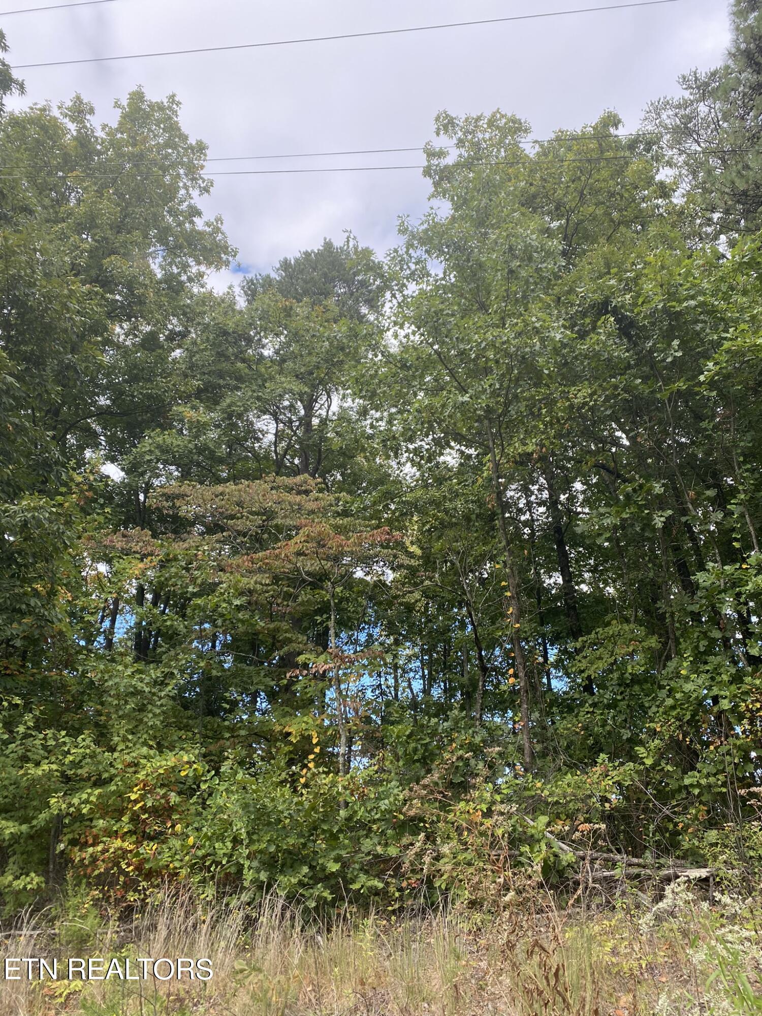 Lot 63 Twin City Way Property Photo 7