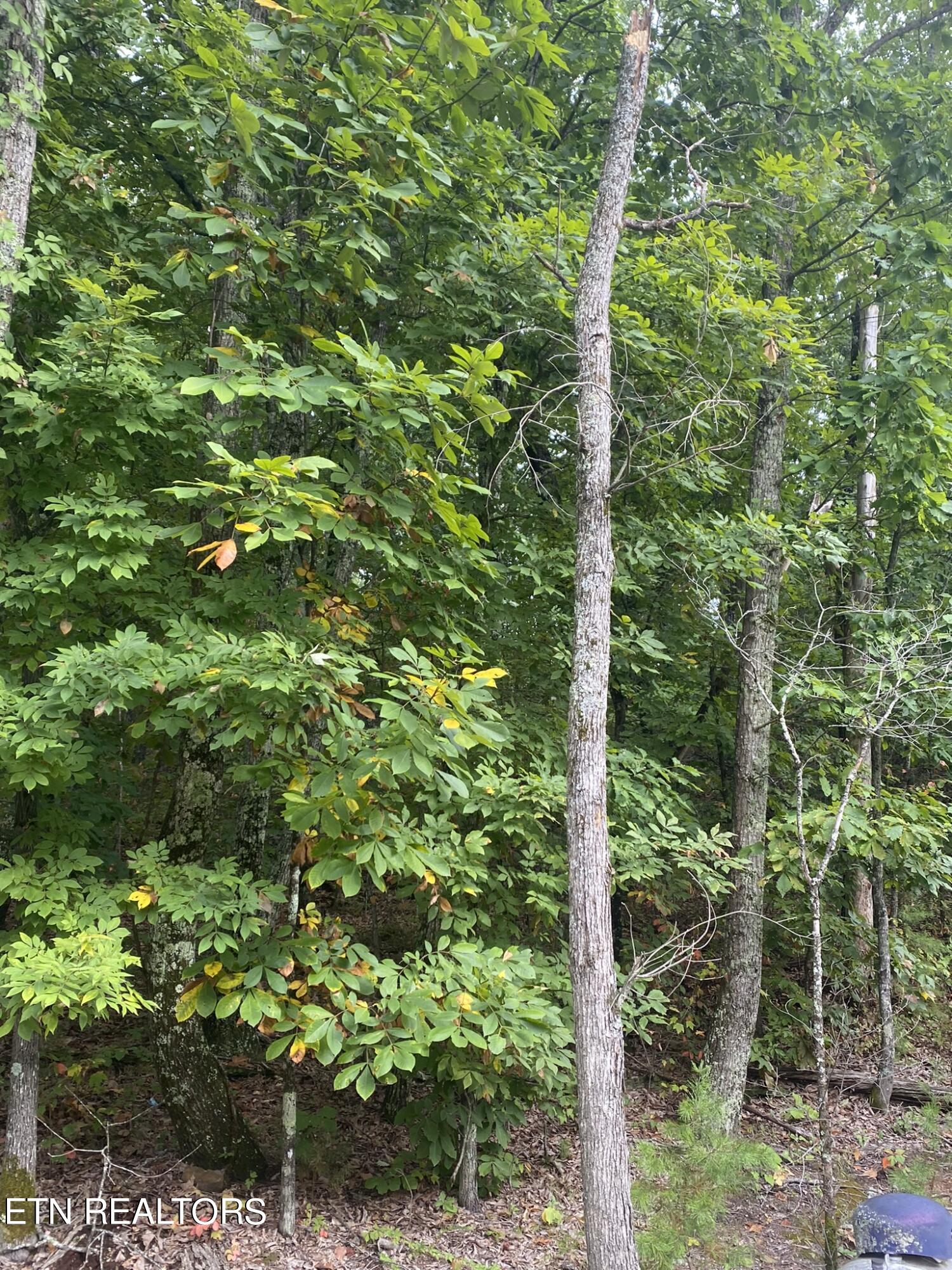 Lot 63 Twin City Way Property Photo 8