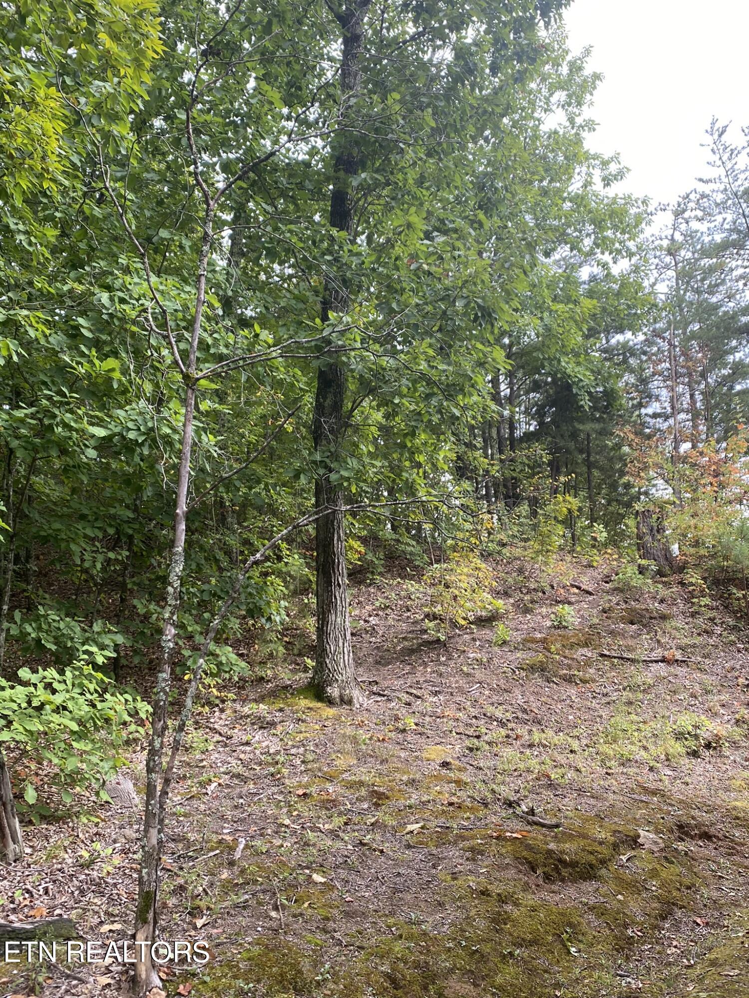 Lot 63 Twin City Way Property Photo 9