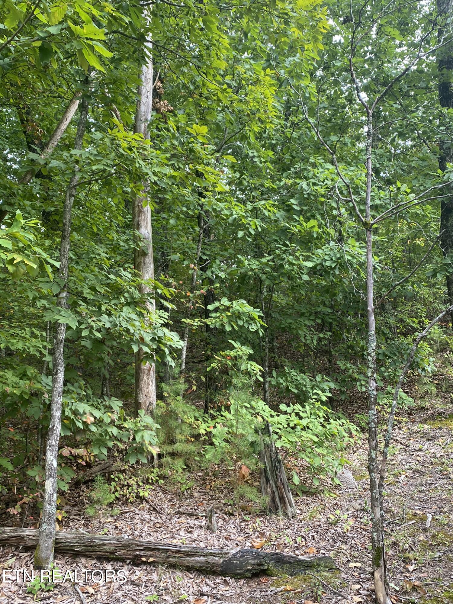 Lot 63 Twin City Way Property Photo 10