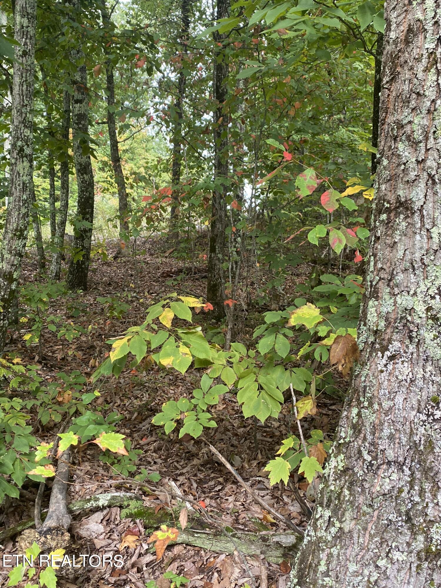 Lot 63 Twin City Way Property Photo 12