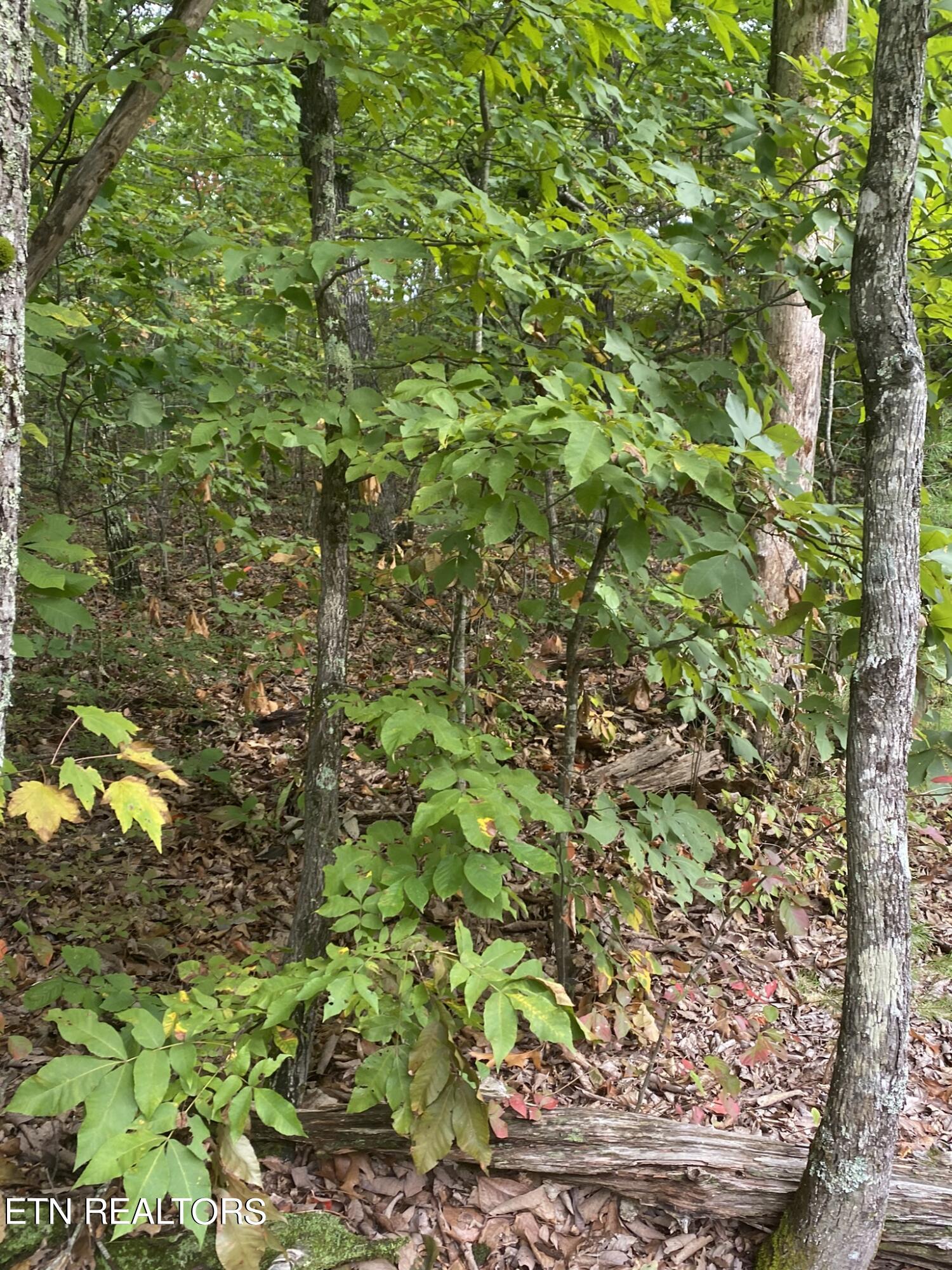 Lot 63 Twin City Way Property Photo 13