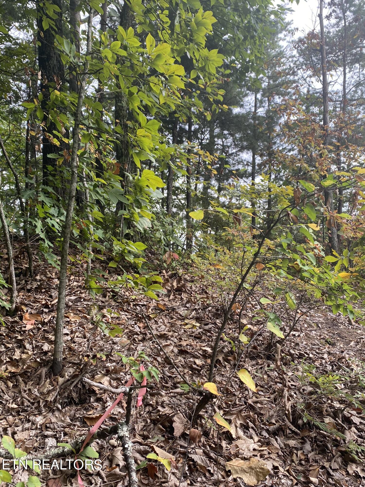Lot 63 Twin City Way Property Photo 14