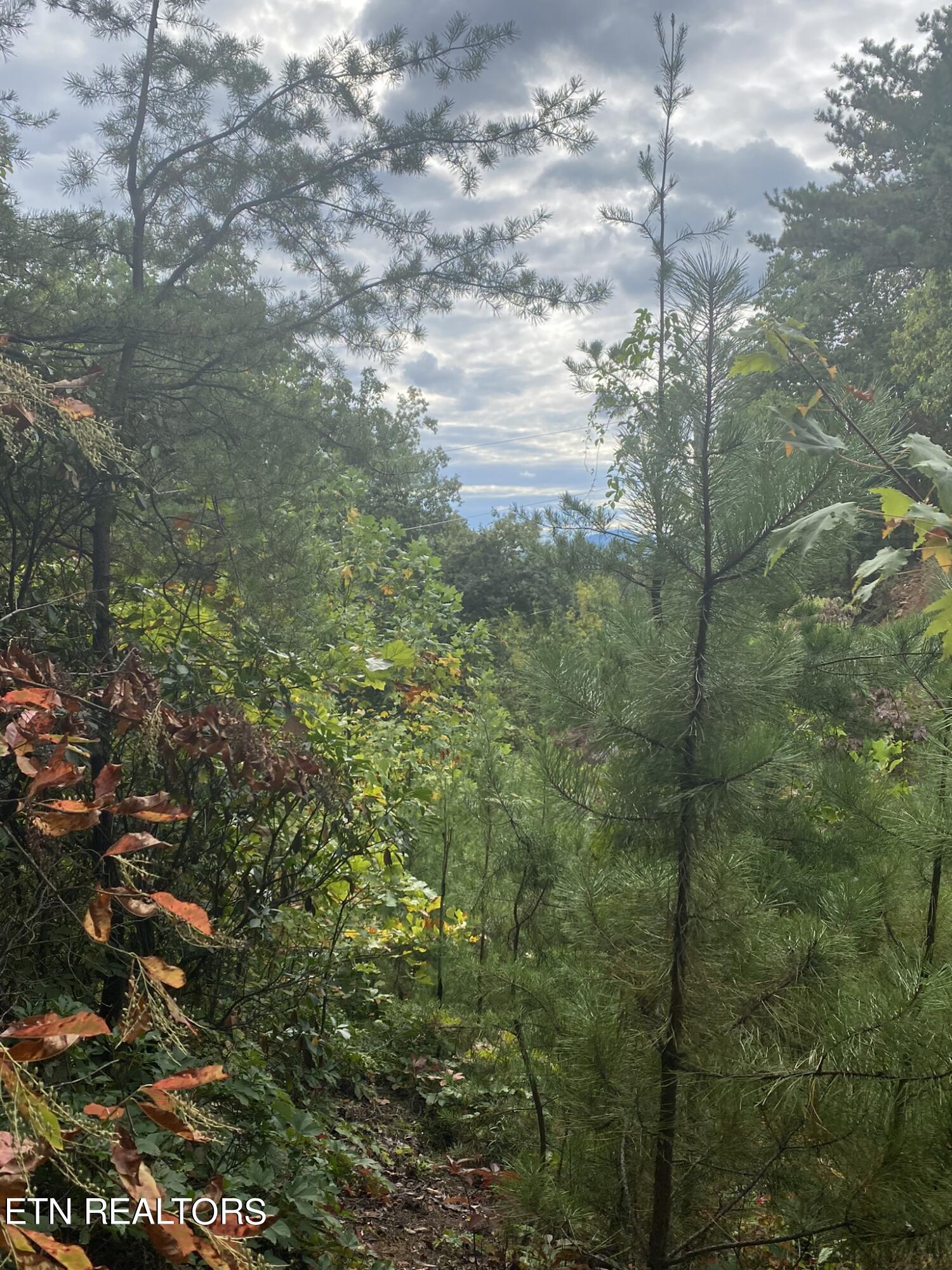 Lot 63 Twin City Way Property Photo 16
