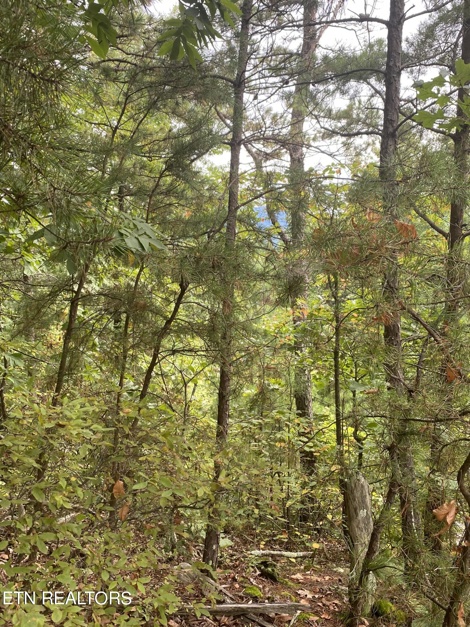 Lot 63 Twin City Way Property Photo 17