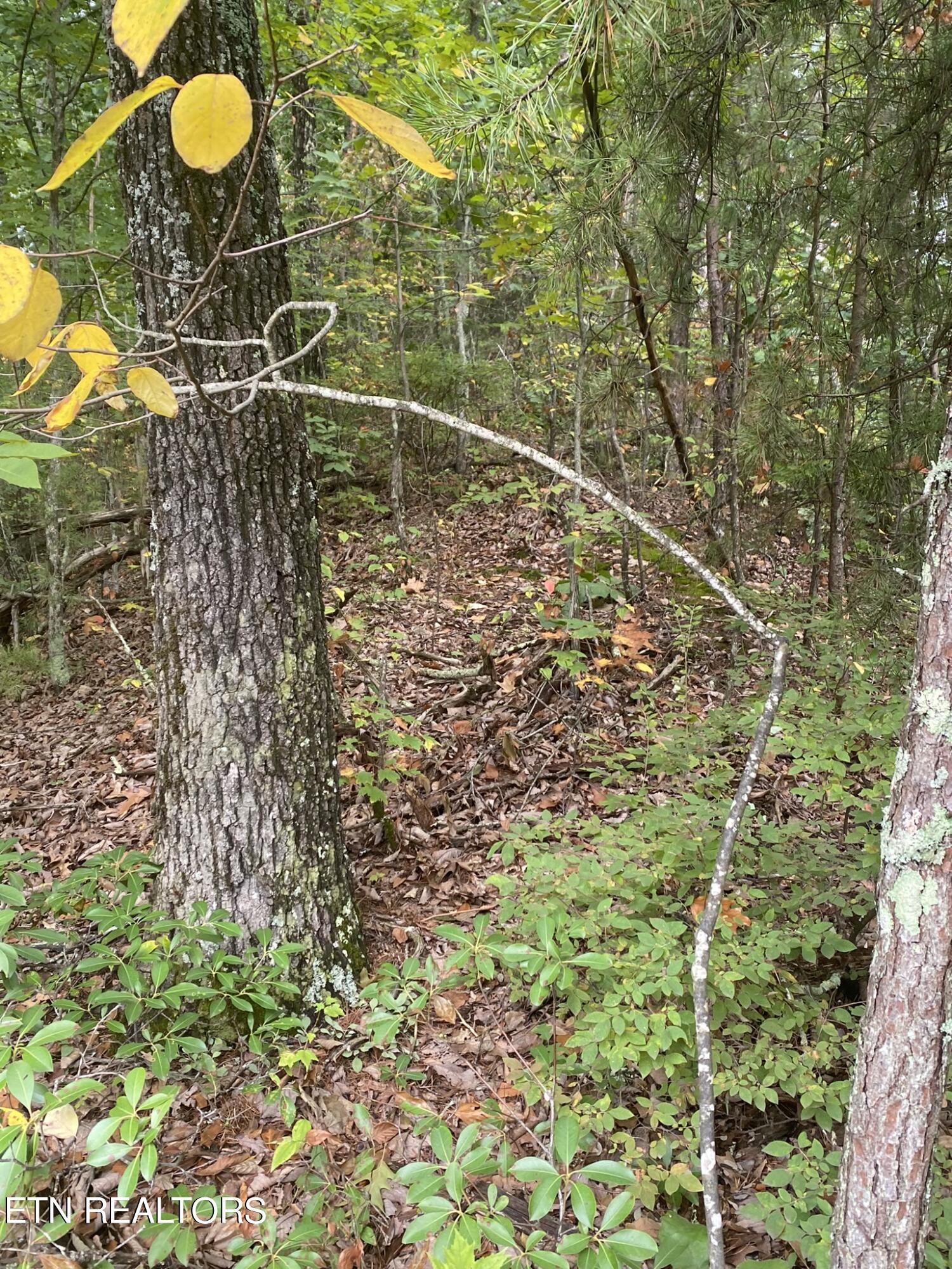Lot 63 Twin City Way Property Photo 18