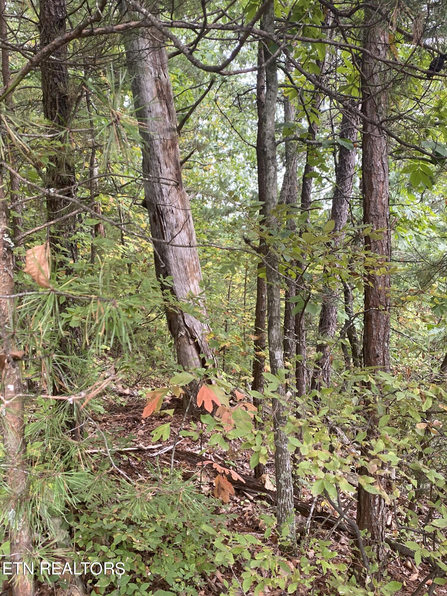 Lot 63 Twin City Way Property Photo 19