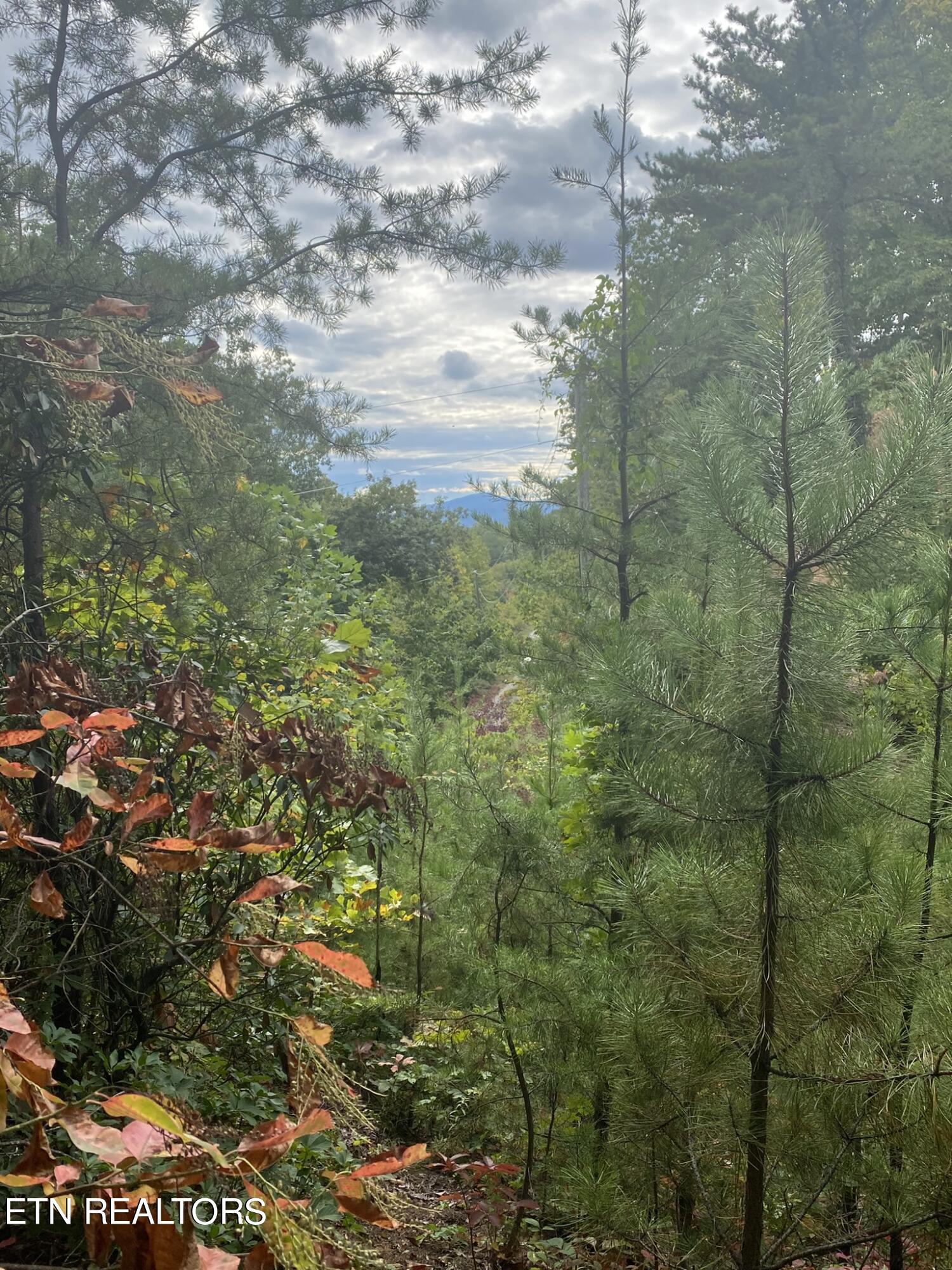 Lot 63 Twin City Way Property Photo 20