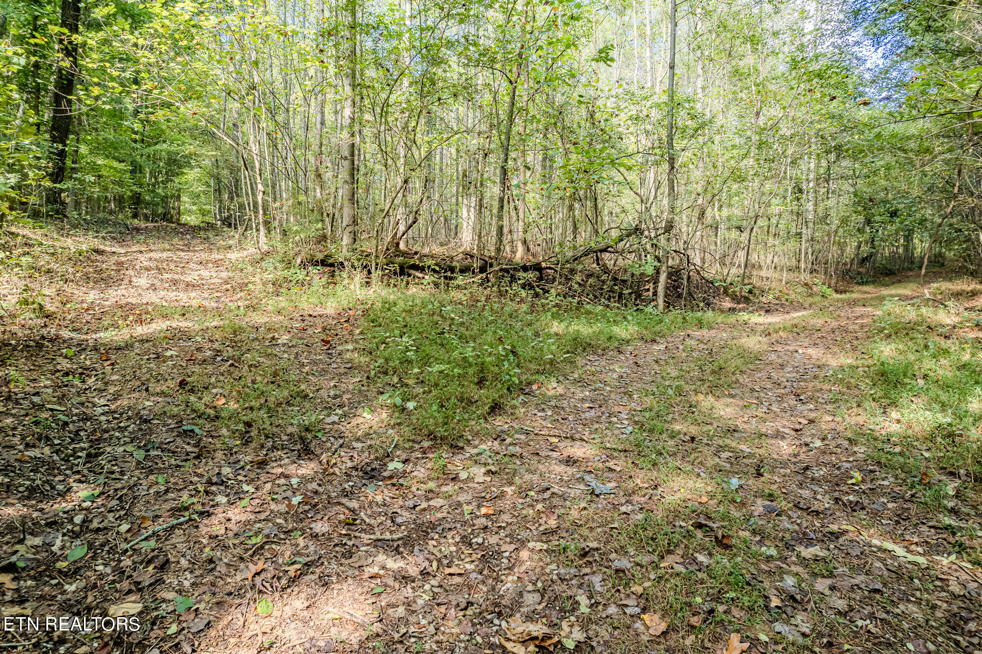 00 O B Davis Rd Property Photo 4