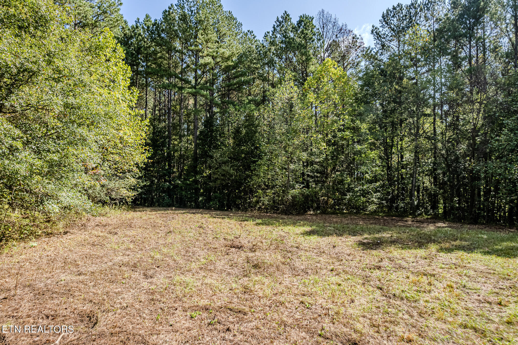 00 O B Davis Rd Property Photo 6