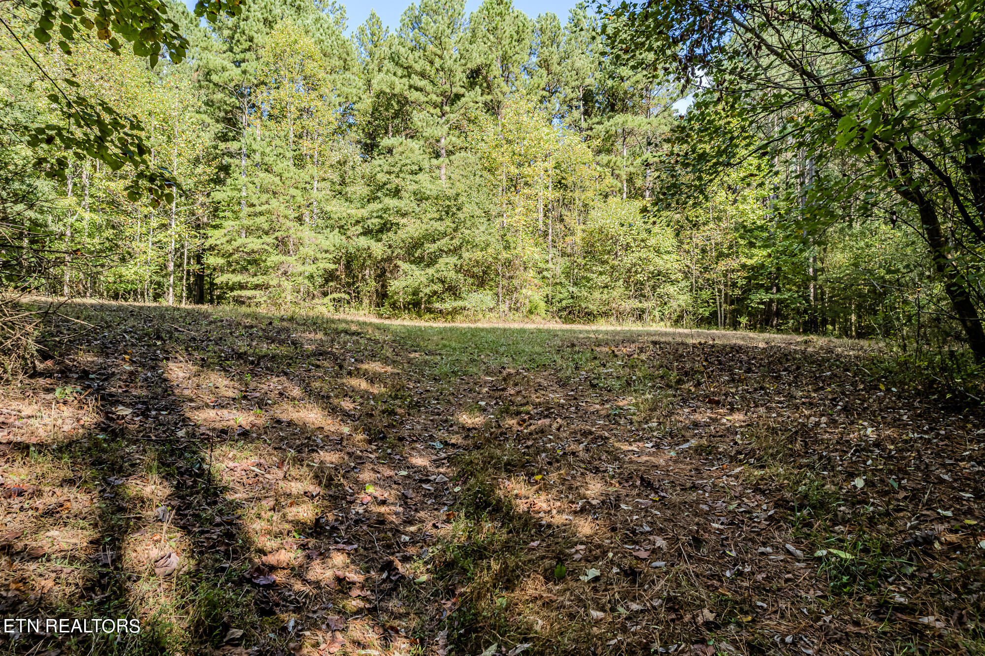 00 O B Davis Rd Property Photo 8