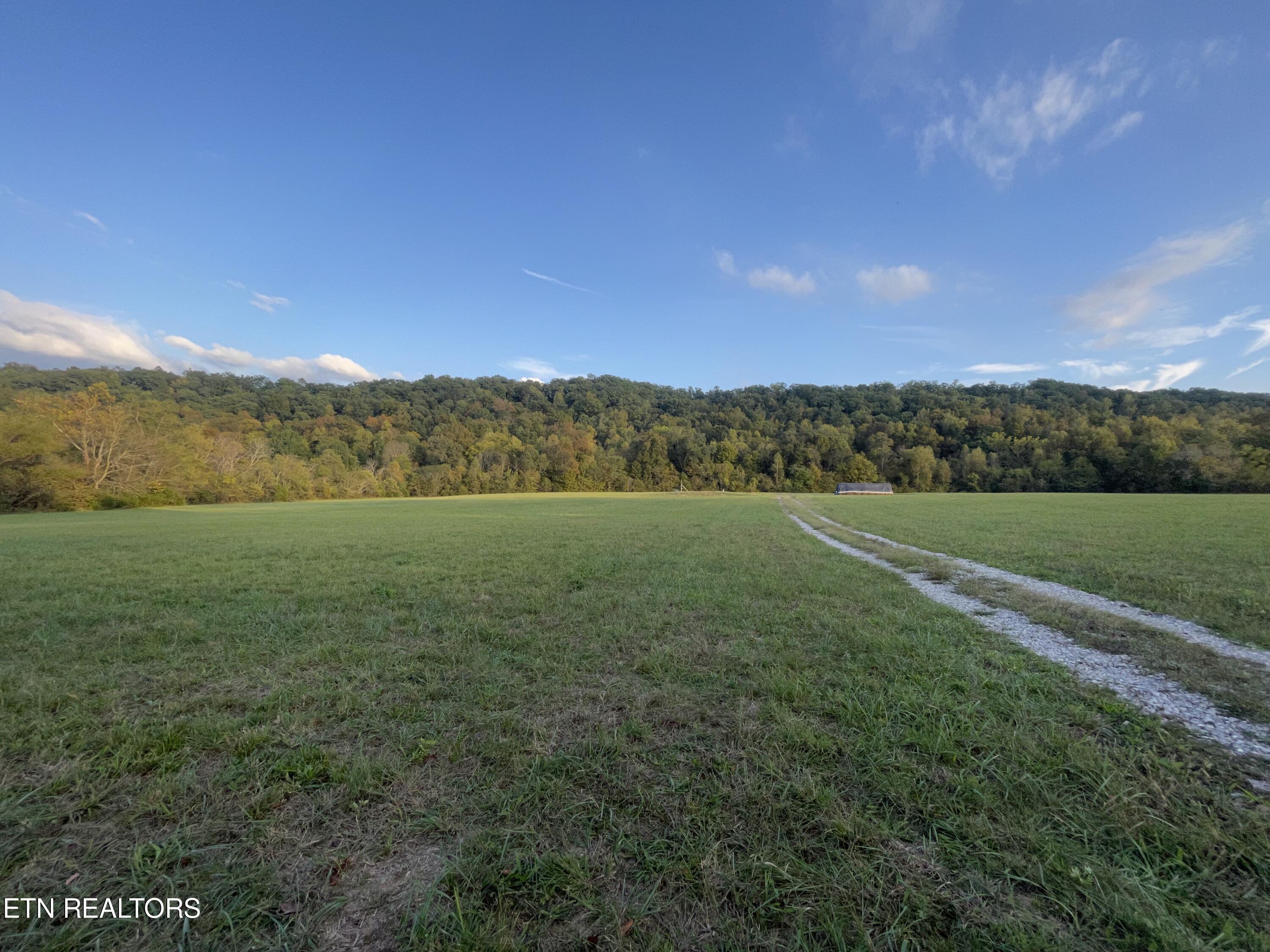 517 Paint Rock Valley Rd Property Photo 5
