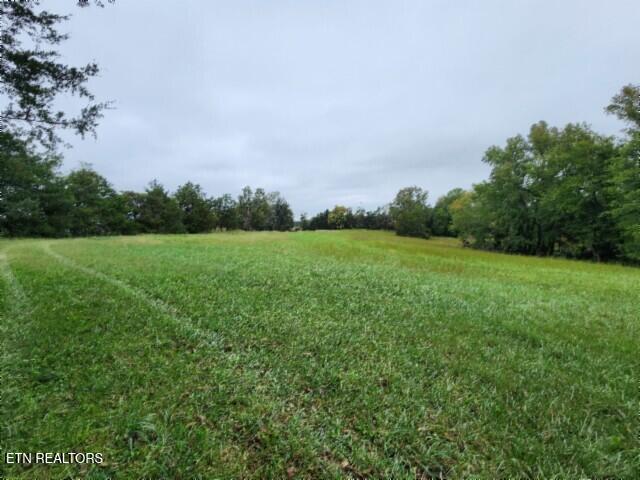 Lot 6 Clay County Hwy Property Photo