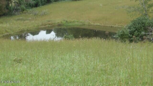 Lot 6 Clay County Hwy Property Photo 2