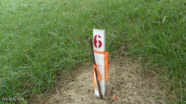 Lot 6 Clay County Hwy Property Photo 3