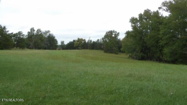 Lot 6 Clay County Hwy Property Photo 4