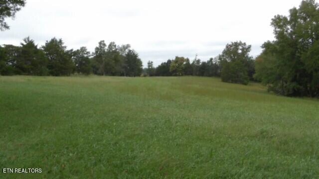 Lot 6 Clay County Hwy Property Photo 5