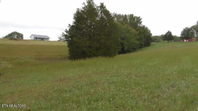 Lot 6 Clay County Hwy Property Photo 7