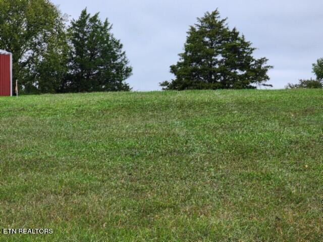 Lot 6 Clay County Hwy Property Photo 10