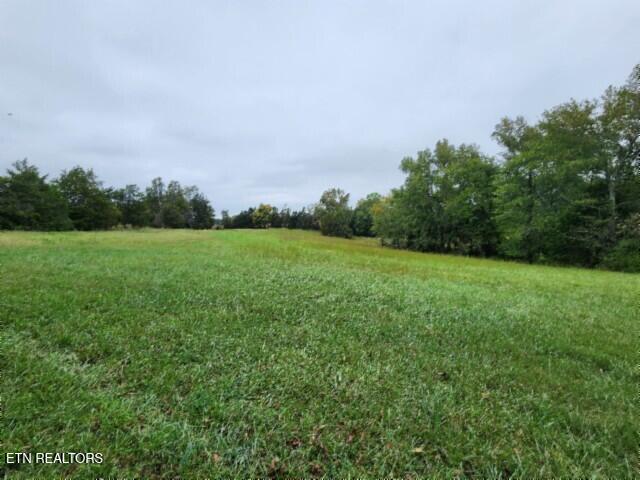 Lot 6 Clay County Hwy Property Photo 13