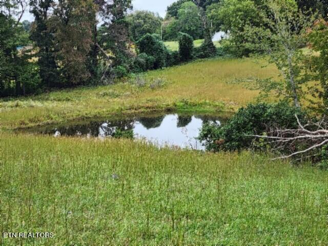 Lot 6 Clay County Hwy Property Photo 15