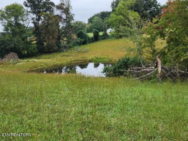 Lot 6 Clay County Hwy Property Photo 16