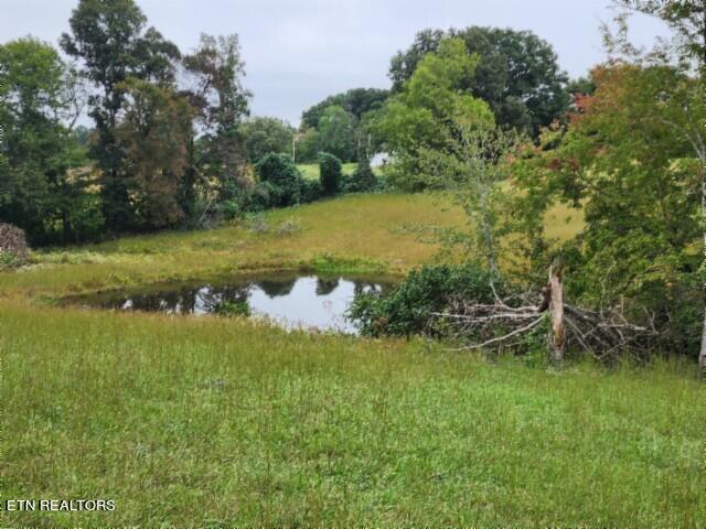Lot 6 Clay County Hwy Property Photo 17