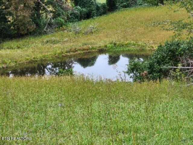 Lot 6 Clay County Hwy Property Photo 18