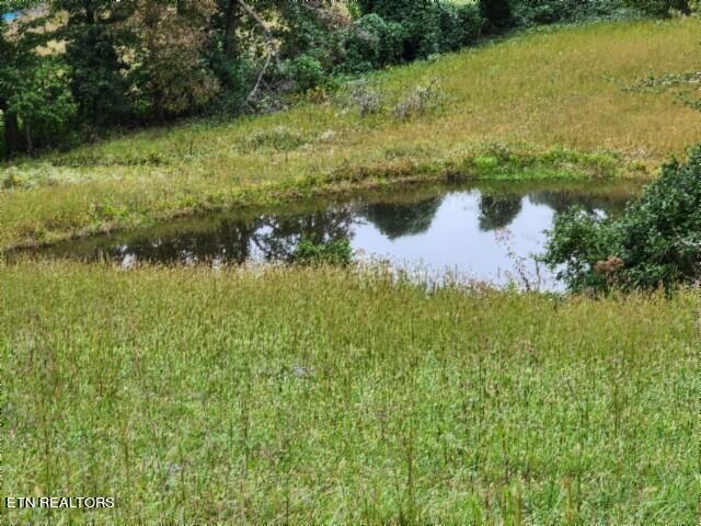 Lot 6 Clay County Hwy Property Photo 19