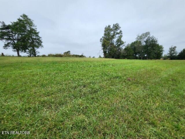 Lot 6 Clay County Hwy Property Photo 22