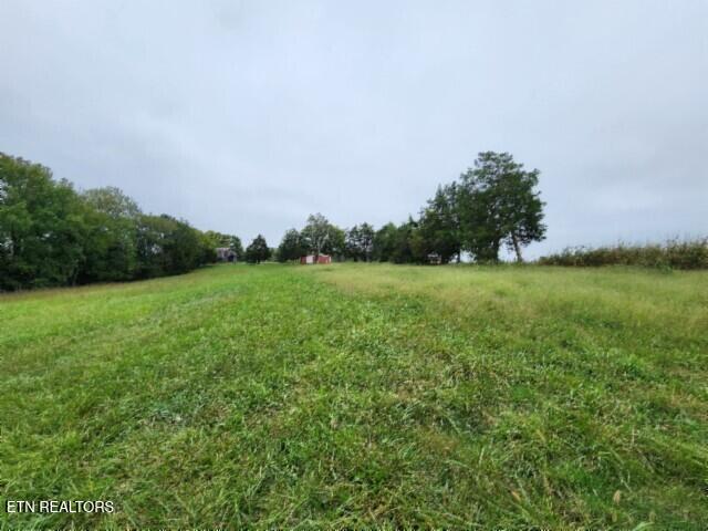 Lot 6 Clay County Hwy Property Photo 23